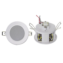 Ceiling Speaker