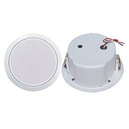 Ceiling Speaker with Iron Cover