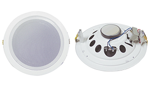 Ceiling Speaker