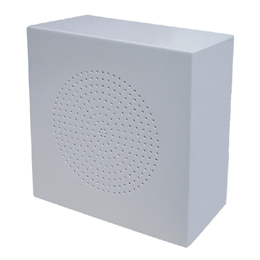 Metal Wall Mounted Speaker